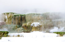 Winterliche Mammoth Hot Springs Terraces im Yellowstone von Marianne Drews