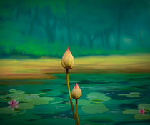 Lotus Buds by Peter  Awax