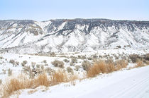 Winterliche Panorama im Yellowstone von Marianne Drews