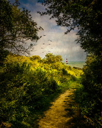 On The Path To The Sea von Chris Lord