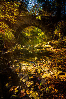 An Autumn Stream In Sunlight von Chris Lord