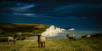 Four Sheep And Seven Sisters von Chris Lord