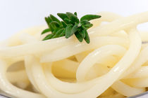 Spaghetti Nudeln verziert mit Rosmarin von Tatjana Walter