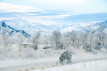Winterlandschaft in Montana by Marianne Drews