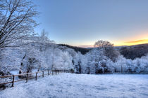 Snowy Sunrise by David Tinsley