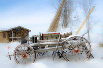Reisegepäckwagen am Little Bighorn von Marianne Drews