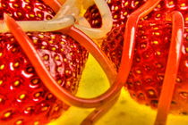 Erdbeeren mit molekularen Erdbeer - und Kiwispaghetti auf Kiwi 3 von Marc Heiligenstein