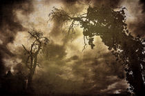 Tote Bäume by Christina Beyer