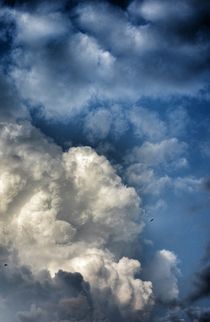 Cloudy von Maria Killinger