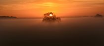 Sonnenaufgang im Nebel von Maria Killinger