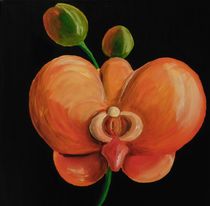 orangene Orchidee von Barbara Kaiser