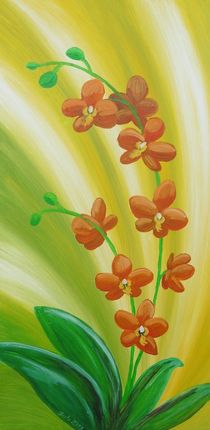 Orchidee im Licht by Barbara Kaiser
