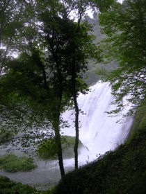 View at waterfall behind tree  von esperanto