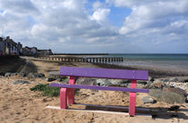 Colourful Bench By The Seaside by Aidan Moran