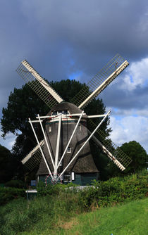Windmill In Dutch Countryside by Aidan Moran
