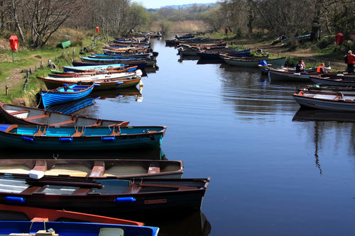 Boats-at-killarney-fip
