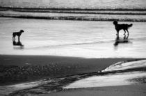 Standoff At The Beach von Aidan Moran