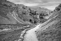 The Approach to Malham Cove in Black and White by Colin Metcalf