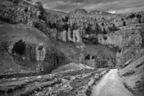 The Approach to Malham Cove in Black and White von Colin Metcalf