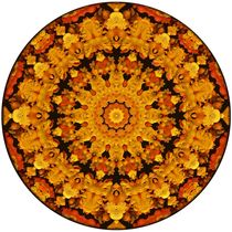 Cheerful Mandala von Richard H. Jones