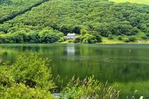 Tal-y-Llyn Lake by gscheffbuch
