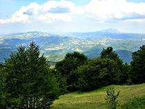 View at the forest valley  von esperanto