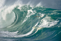 Surfboard Offering by Sean Davey