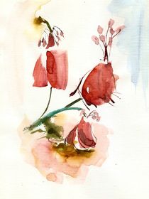red flowers von Ioana  Candea