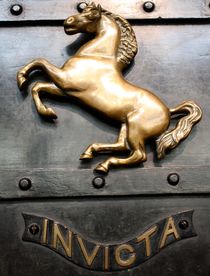 INVICTA BRASS HORSE by Mohammed Ruhul Amin