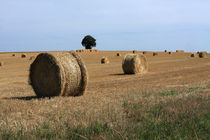 Straw Bale Field von Aidan Moran
