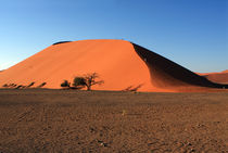 Dune 45 Namibia by Aidan Moran