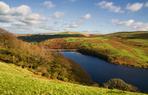  Meldon Reservoir on Dartmoor von Pete Hemington
