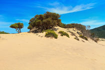 Sardinia - Piscinas dune von Antonio Scarpi