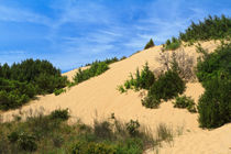 Piscinas dunes, Sardinia, Italy von Antonio Scarpi