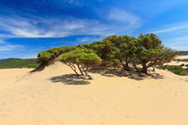 Sardinia - Piscinas dune by Antonio Scarpi