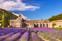 Lavender at Abbaye de Senanque von Sara Winter