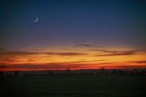 New Moon at Sunset by Vicki Field