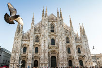 Duomo of Milan and pigeons by Pier Giorgio  Mariani