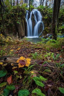 Wasserfall im Plitvicer Seen Nationalpark von Lukas Kirchgasser