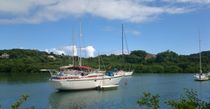 Anchorage In Antigua by Malcolm Snook