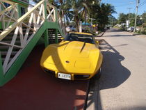 Yellow Corvette von Malcolm Snook