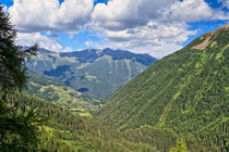 Trentino - Pejo valley von Antonio Scarpi