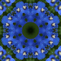 Blaues Rittersporn Mandala von Sabine Radtke