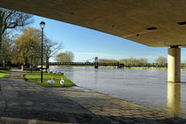 The River In Flood, Stapenhill Gardens von Rod Johnson