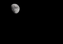 moon by emanuele molinari