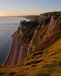 Branscombe Cliffs in Devon by Pete Hemington