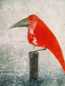 Raven - the red bird von Chris Berger