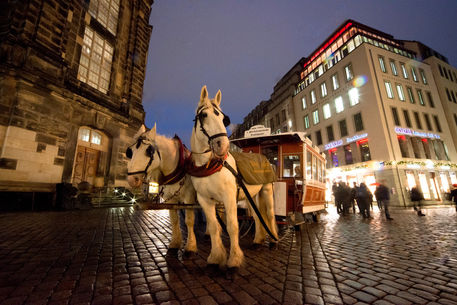 Dresden-horse-and-cart