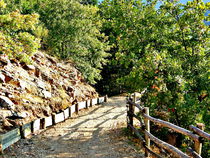 Mountain trail beside rock by esperanto