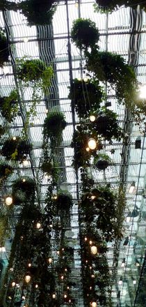 'Hanging Garden Grid' von Juergen Seidt